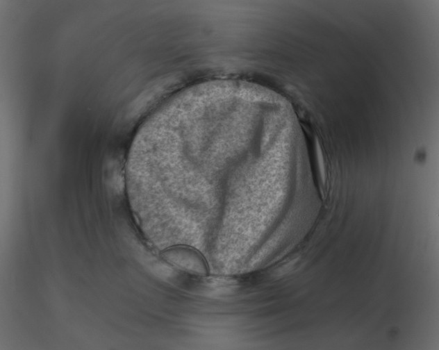 X0000116550719200912311911