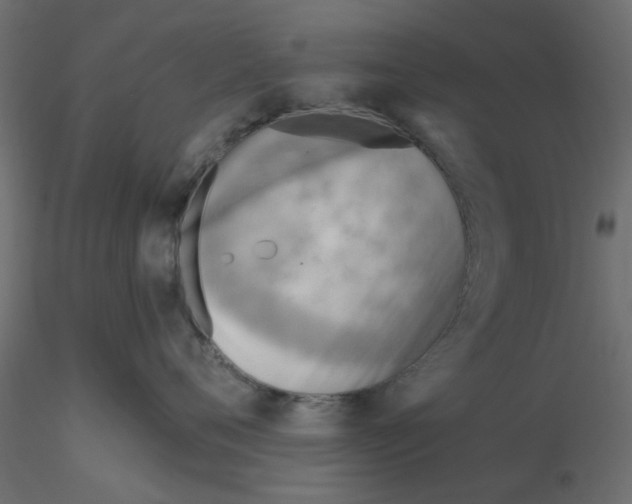 X0000116550720200912311911