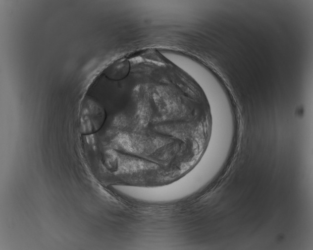 X0000116550721200912311911