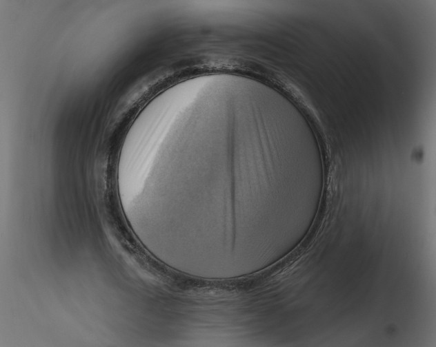 X0000116550722200912311911