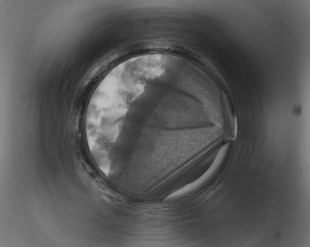 X0000116550723200912311911