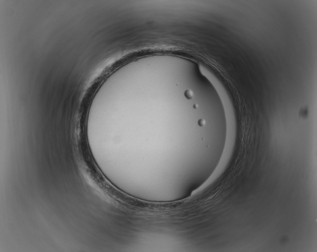 X0000116550726200912311911