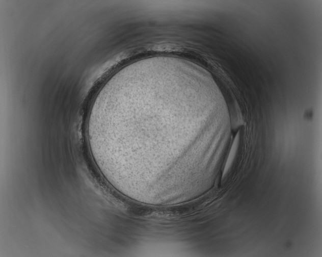 X0000116550727200912311911