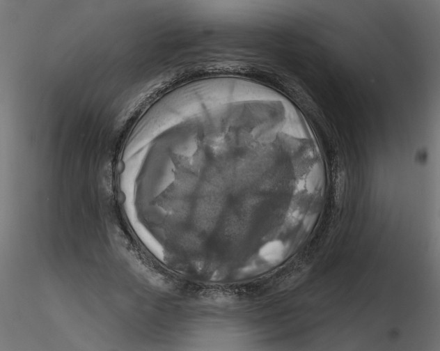 X0000116550729200912311911