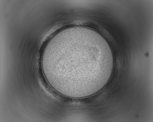 X0000116550730200912311911