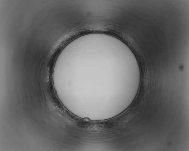 X0000116550731200912311911