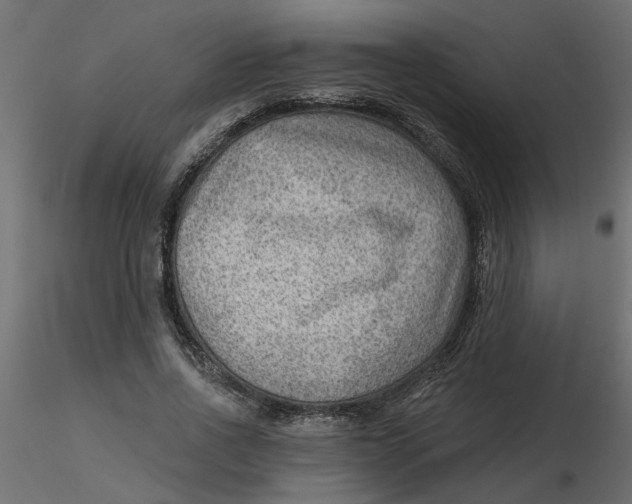 X0000116550734200912311911