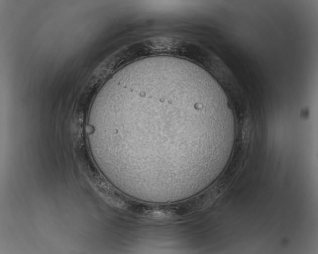 X0000116550737200912311911