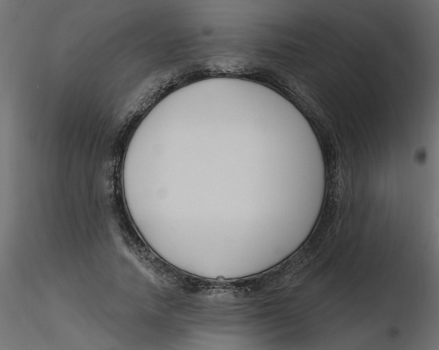 X0000116550738200912311911