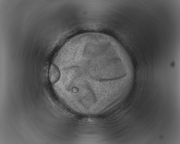 X0000116550739200912311911