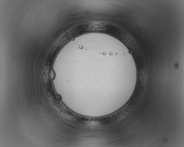 X0000116550741200912311911