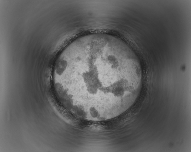 X0000116550742200912311911