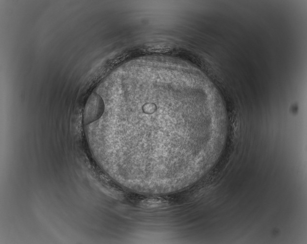 X0000116550745200912311911