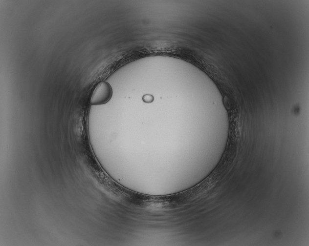 X0000116550746200912311911