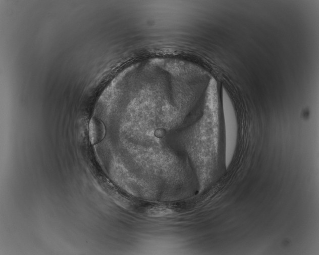 X0000116550747200912311911