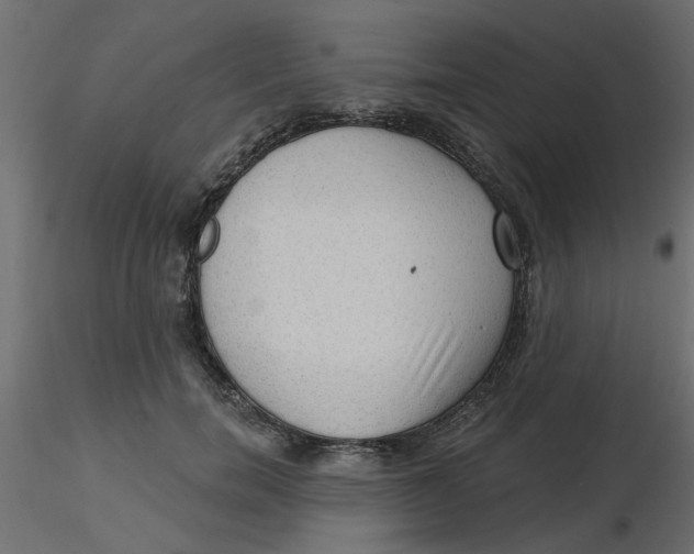 X0000116550750200912311911