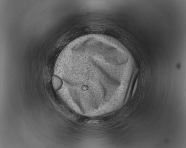 X0000116550751200912311911