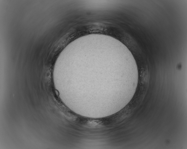 X0000116550753200912311911