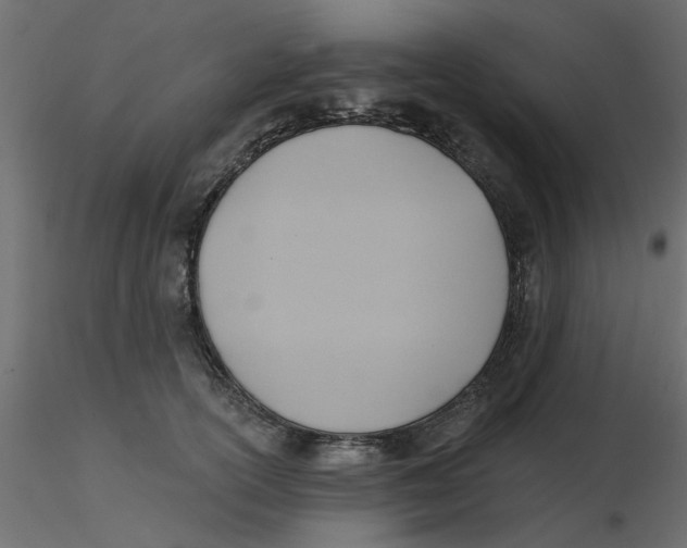 X0000116550754200912311911