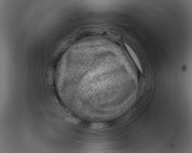 X0000116550757200912311911