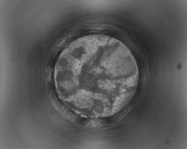 X0000116550758200912311911