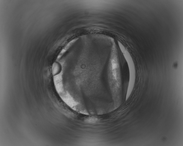 X0000116550759200912311911