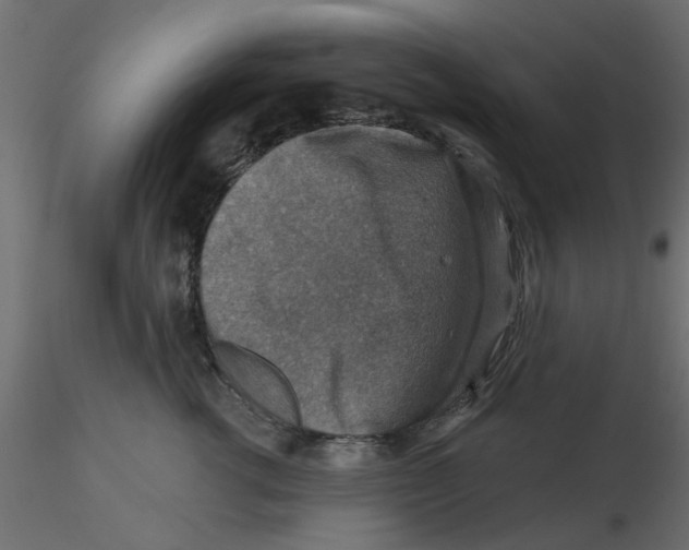 X0000116550762200912311911