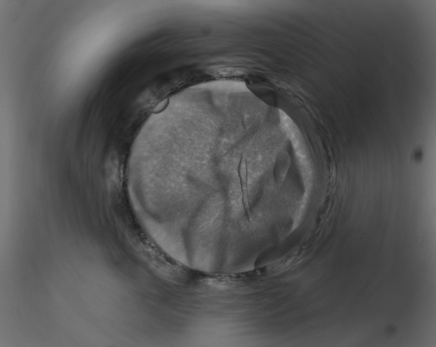 X0000116550763200912311911