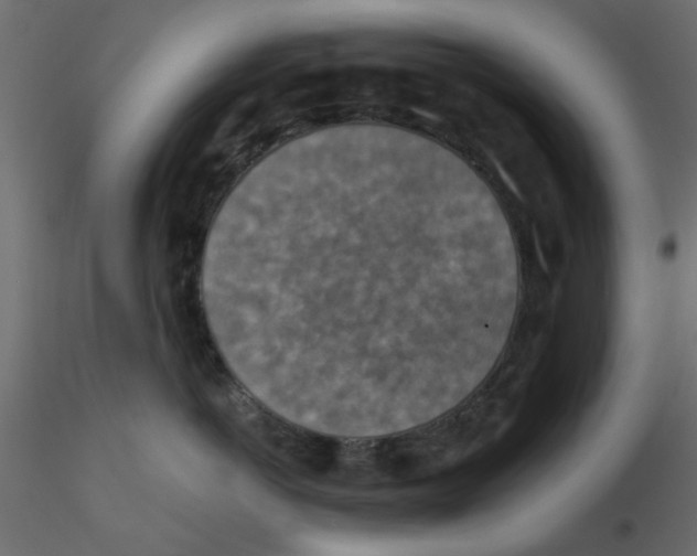 X0000116550766200912311911