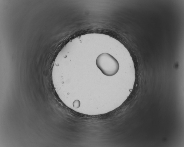 X0000116550769200912311911