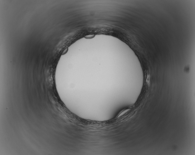 X0000116550771200912311911