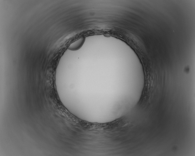 X0000116550773200912311911