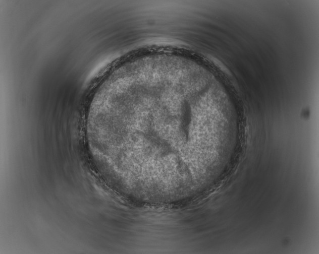 X0000116550775200912311911