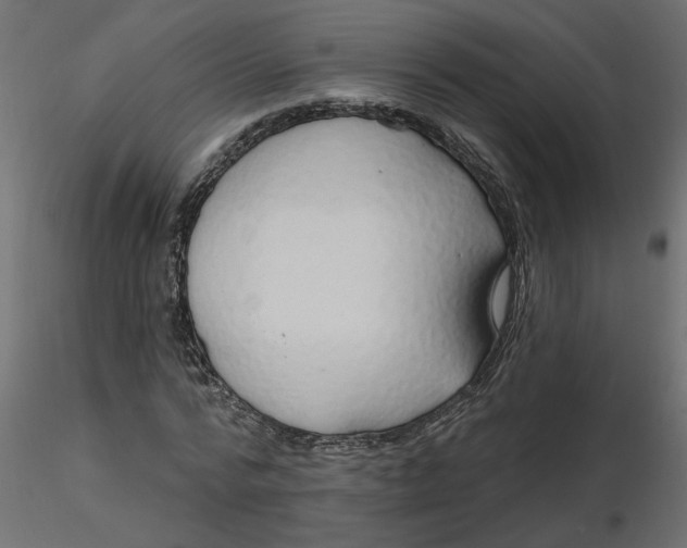 X0000116550776200912311911