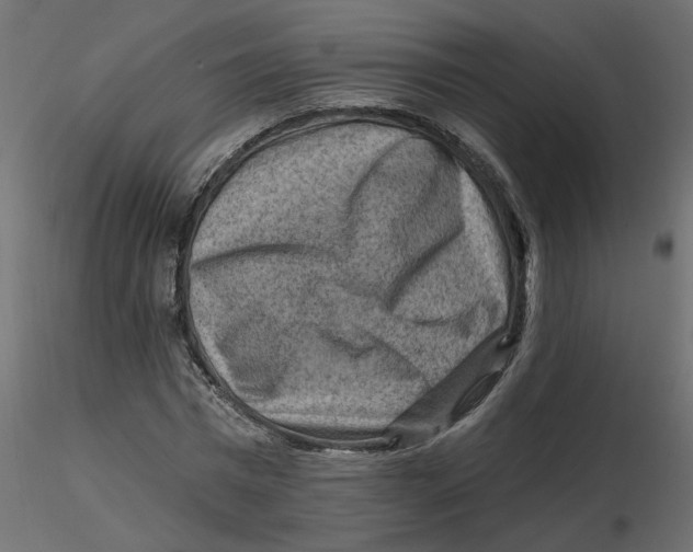 X0000116550777200912311911