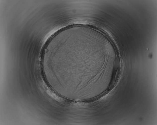 X0000116550779200912311911