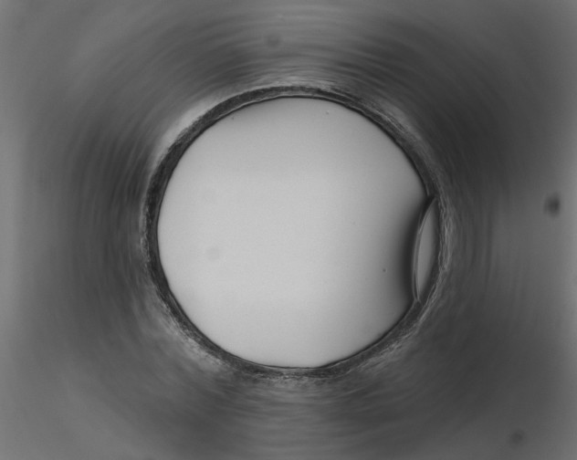 X0000116550780200912311911