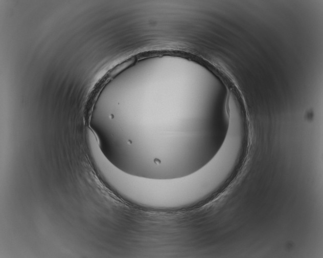 X0000116550781200912311911