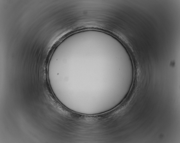 X0000116550782200912311911