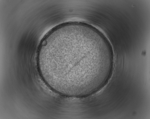 X0000116550783200912311911