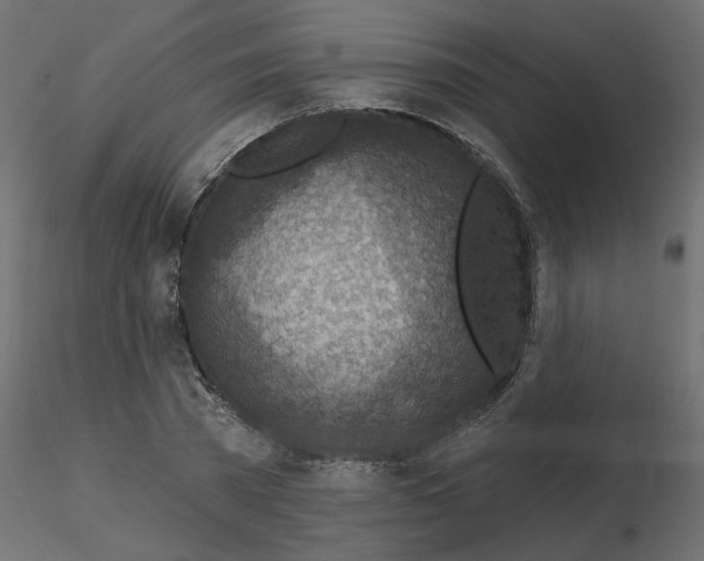 X0000116550785200912311910