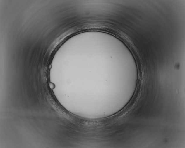 X0000116550786200912311910