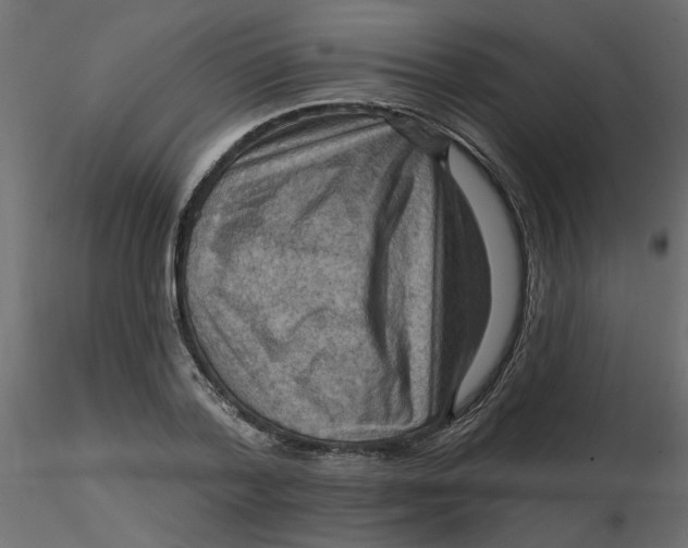 X0000116550788200912311910