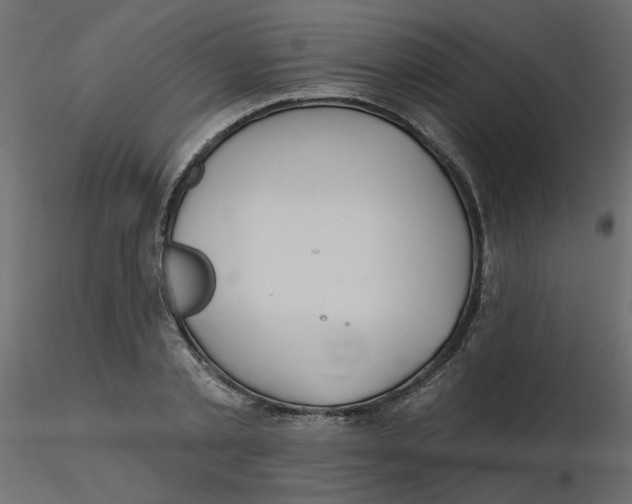 X0000116550789200912311910