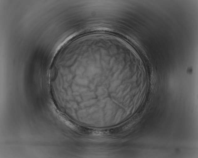 X0000116550790200912311910