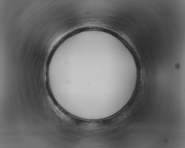 X0000116550791200912311910