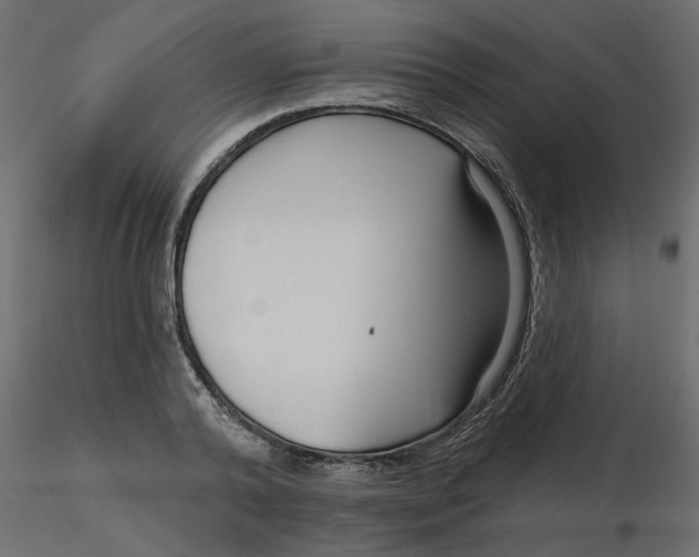 X0000116550792200912311910