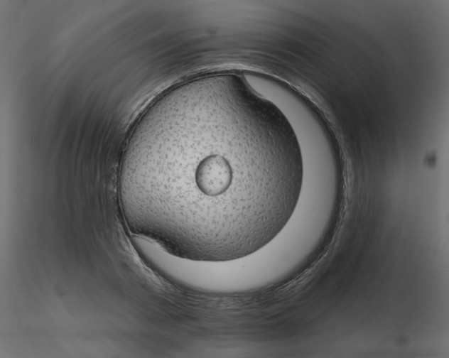 X0000116550793200912311910