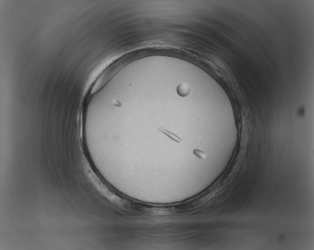 X0000116550796200912311910