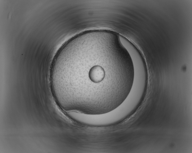 X0000116550797200912311910